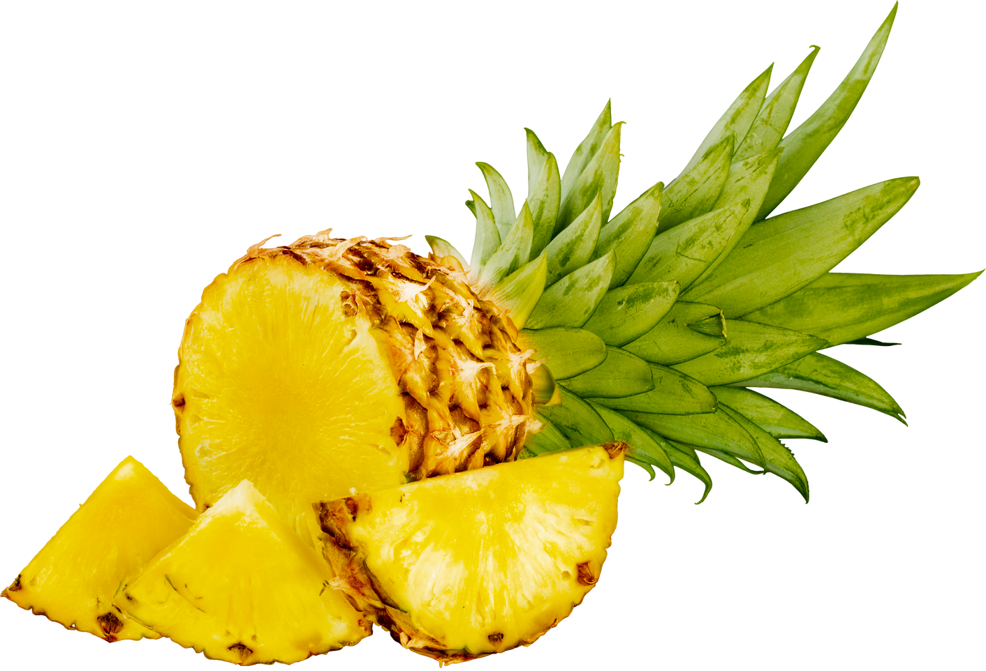 Pineapple Fruit and Slices 